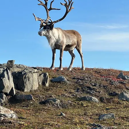 Kaldfjord Aurora New Floor 아파트 트롬쇠