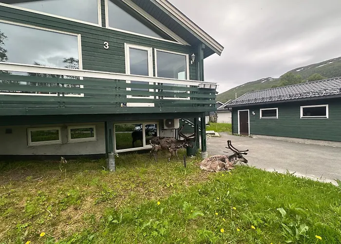 Appartement Kaldfjord Aurora New Floor